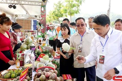 Hội chợ triển lãm 'Cà phê Sơn La - Hội nhập và phát triển'