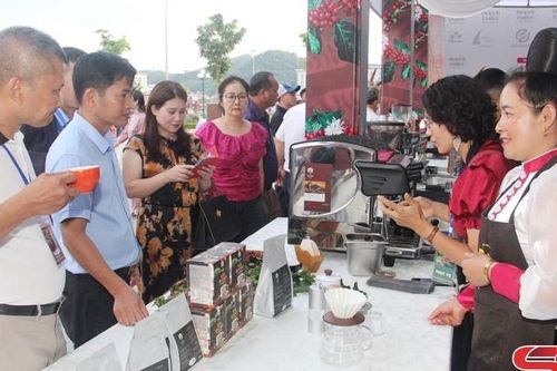 Gala Cà phê Sơn La - kết nối đam mê và lan tỏa hương vị núi rừng Tây Bắc