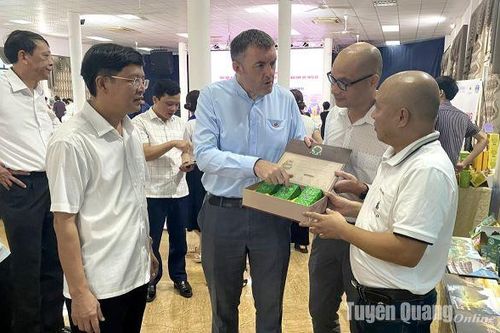 Kinh tế tập thể 'tiếp sức' cho người dân vùng khó