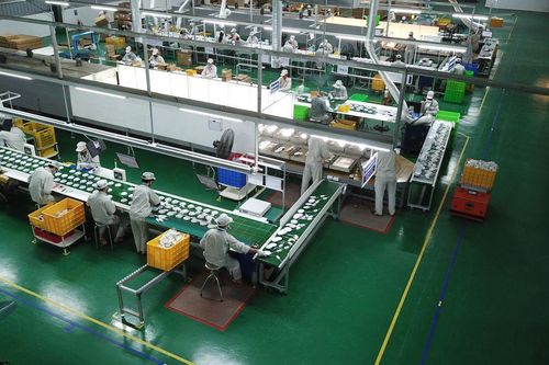 Hai yếu tố giúp lợi nhuận Bóng đèn Phích nước Rạng Đông 'phát sáng'