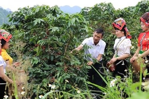 Sẵn sàng cho Lễ hội Cà phê lớn nhất miền Bắc