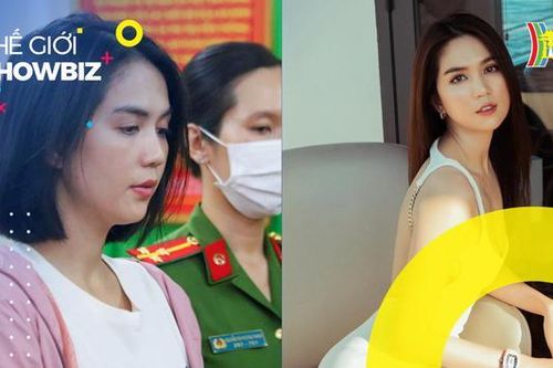 Bị bắt tạm giam, sự nghiệp Ngọc Trinh ảnh hưởng như thế nào?