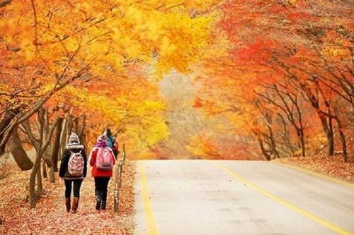 Du lịch Hàn Quốc tháng nào đẹp nhất?