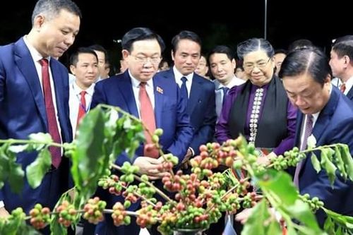 Khai mạc Lễ hội cà phê tỉnh Sơn La