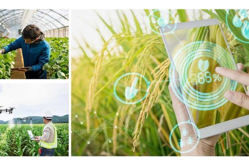 Hà Nội sẽ có Cơ sở dữ liệu dùng chung ngành nông nghiệp vào năm 2025