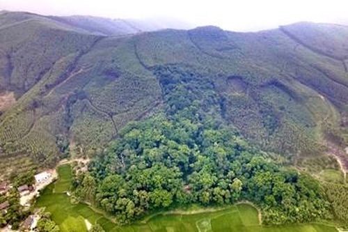Chênh chao rừng chiều