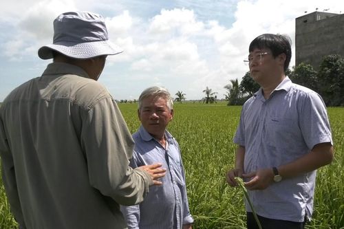 Đất lành cho sếu đầu đỏ