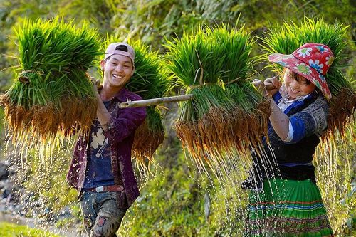 Cảnh sắc lộng lẫy của Việt Nam qua góc nhìn của các nhiếp ảnh gia quốc tế