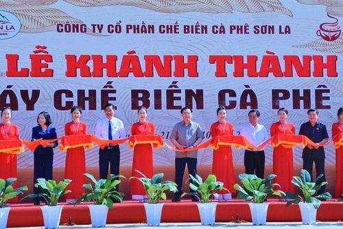 Chủ tịch Quốc hội dự lễ khánh thành Nhà máy chế biến cà phê ở Sơn La
