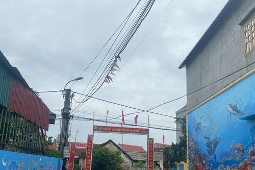 Đan Phượng: 'Lá cờ đầu' trong xây dựng nông thôn mới ở Hà Nội