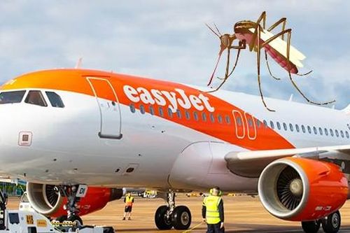 Chuyến bay bị hoãn tới 5 giờ đồng hồ do phi công bị muỗi đốt