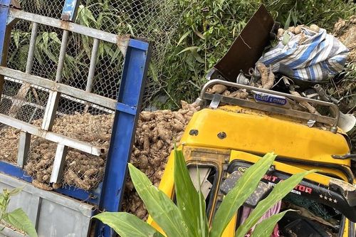 Xe tải chở sắn lao xuống vực, 3 người thương vong