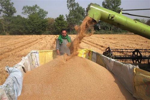 Tổng Giám đốc FAO: AI là công cụ để chuyển đổi hệ thống nông nghiệp