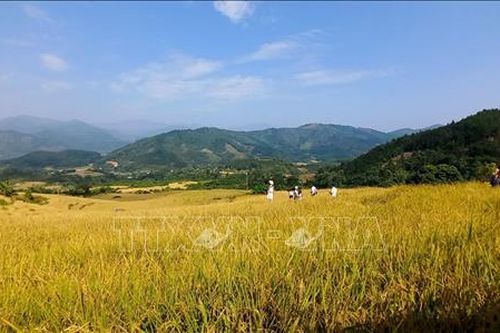 Khai mạc Tuần Văn hóa - Du lịch, Hội mùa Vàng Bình Liêu năm 2023