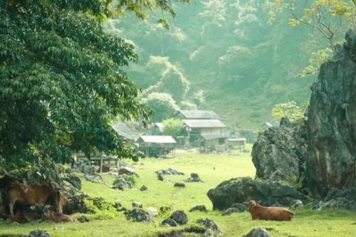 Hang Táu - nơi người H'Mông 'trốn thế giới bên ngoài' có gì đặc biệt mà giới trẻ đua nhau khám phá?