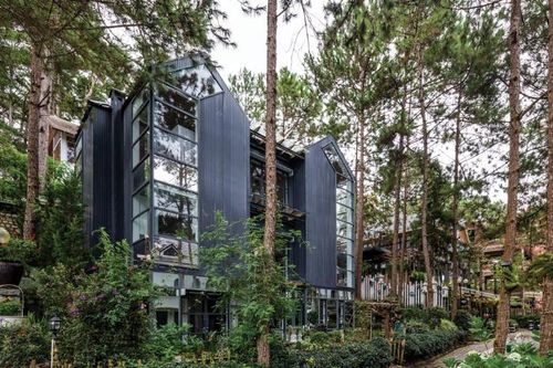Bồ Câu House – 'chiếc tổ' giữa rừng thông
