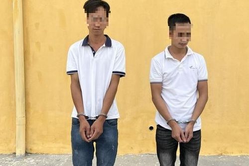 Hai đối tượng chuyên đột vòm sa lưới