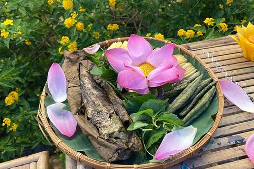 Các khu, điểm du lịch lan tỏa tình yêu sen đến mọi người