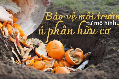 Bảo vệ môi trường từ mô hình ủ phân hữu cơ