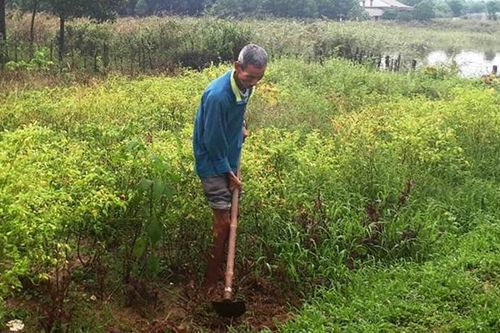 Sơn Thủy với khát vọng đạt chuẩn nông thôn mới nâng cao