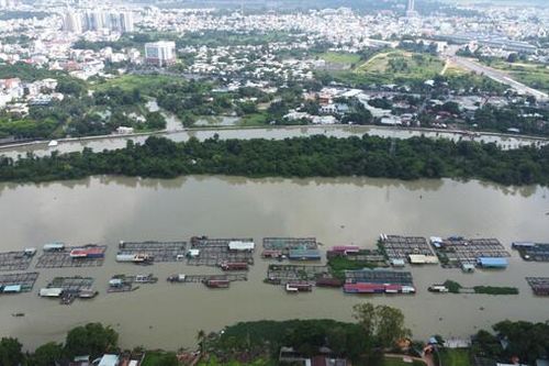Đồng Nai: Sớm hoàn thành việc di dời các bè nuôi cá để thi công dự án cầu Thống Nhất