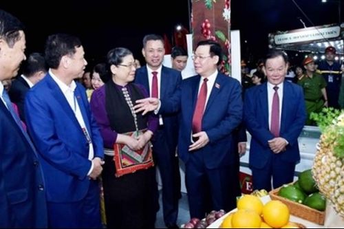 Chủ tịch Quốc hội Vương Đình Huệ dự khai mạc Lễ hội Cà phê tỉnh Sơn La năm 2023