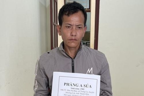 Dựng chòi trên núi, mua ma túy về bán cho các con nghiện