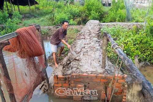 Giúp dân tự phòng, tránh thiên tai