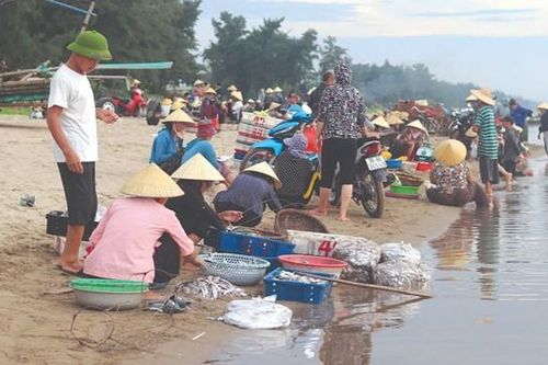Nhộn nhịp chợ cá Quảng Nham