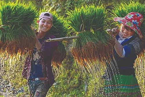 Việt Nam qua góc nhìn của các nhiếp ảnh gia
