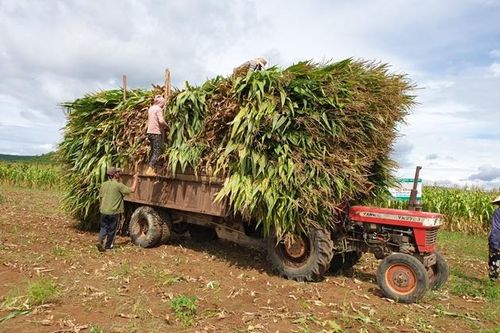 Phú Yên: Đổi thay trên vùng đất khó