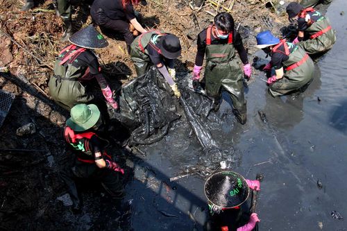 Hơn 200 bạn trẻ ngâm mình trong dòng nước đen vớt rác làm sạch môi trường