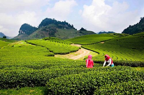 Sơn La phát triển sản phẩm du lịch thân thiện với môi trường