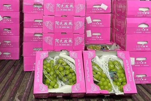 Chỉ từ 25.000 đồng/kg, nho Trung Quốc đắt hàng tại chợ Việt