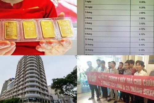 Giá vàng tăng sốc; ngân hàng giảm lãi suất tiết kiệm thấp kỷ lục