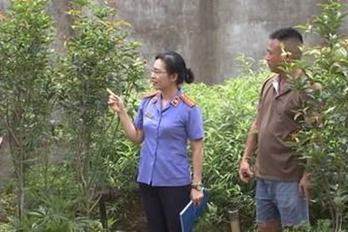 Vì lẽ công bằng