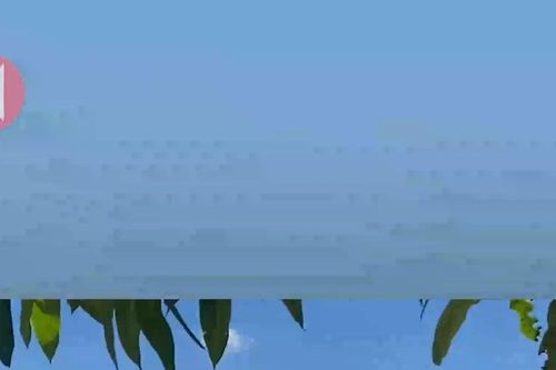 Cống bara Nghi Quang hư hỏng nặng, không có khả năng ngăn mặn