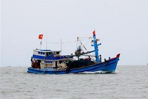 Bình Định: Một ngư dân tử vong do bị nhiễm trùng huyết trên biển