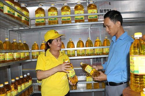 Phát triển các mô hình OCOP, lan tỏa tinh thần khởi nghiệp