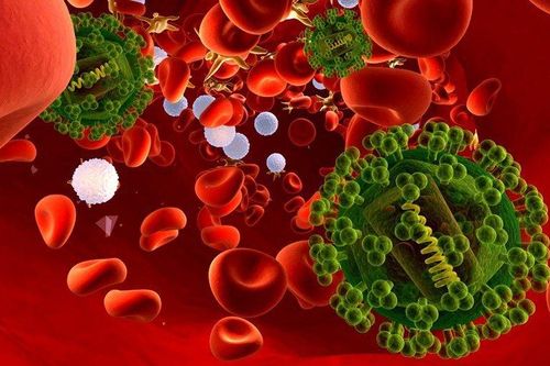 Một ngư dân ở Bình Định tử vong do bị nhiễm trùng huyết