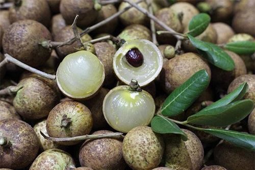 Cũng là nhãn nhưng lại có giá lên đến 200.000 đồng/kg, chị em đi chợ thấy thì nên mua ngay, đắt xắt ra miếng