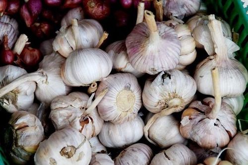 Indonesia sẽ giảm 40% nhập khẩu tỏi vào năm tới