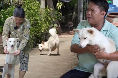 Nhặt chú chó 2 chân bị bỏ rơi, 2 năm sau cặp vợ chồng xe ôm bỗng đổi đời