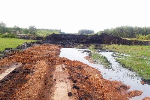 Điểm tin Công Thương - Pháp luật 22/10: Công ty TNHH MTV Quế Lâm Miền Trung bị xử phạt 95 triệu đồng