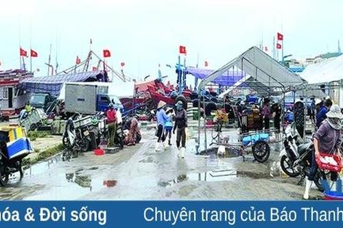 Mưu sinh ở Cảng cá Lạch Bạng