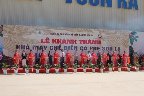 Nhà máy chế biến cà phê lớn nhất Tây Bắc chính thức vận hành