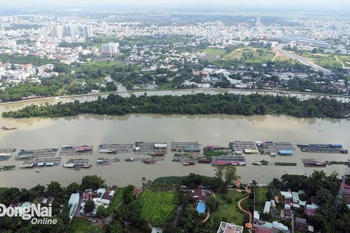 Dự án Xây dựng đường ven sông Cái chậm tiến độ 5 tháng