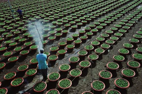 Thi sáng tác biểu trưng kỷ niệm 20 năm thành lập huyện Thống Nhất