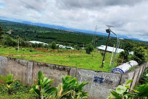 Xử phạt trang trại chăn nuôi heo không có giấy phép môi trường