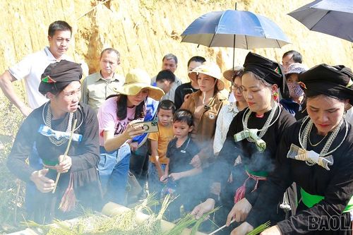Đồng bào Tày Việt Tiến (Bảo Yên) tổ chức lễ hội cốm cầu mùa màng bội thu
